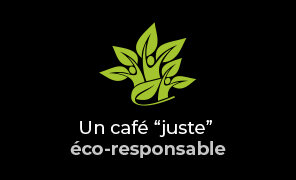Vignettes E╠üco responsable.jpg